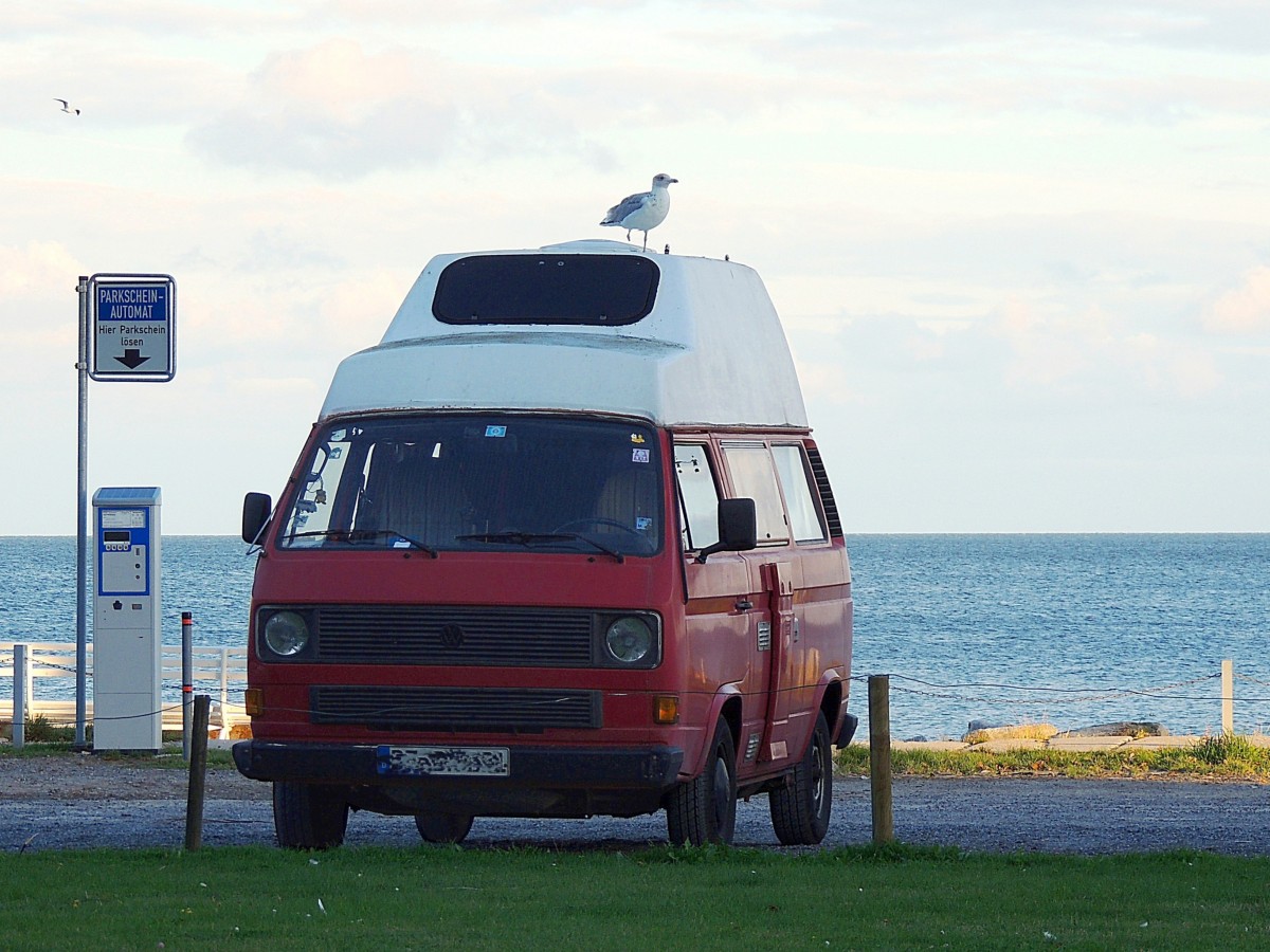 VW-T3 am Strand von Sassnitz hat Besuch von einer Möve ( ob auch die einen gültigen Parkschein hat?); 140921
