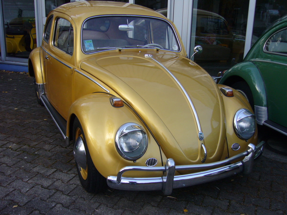 VW Typ 1  Käfer  von 1957 mit Exportstoßstangen. Essen-Kettwig am 15.11.2020.
