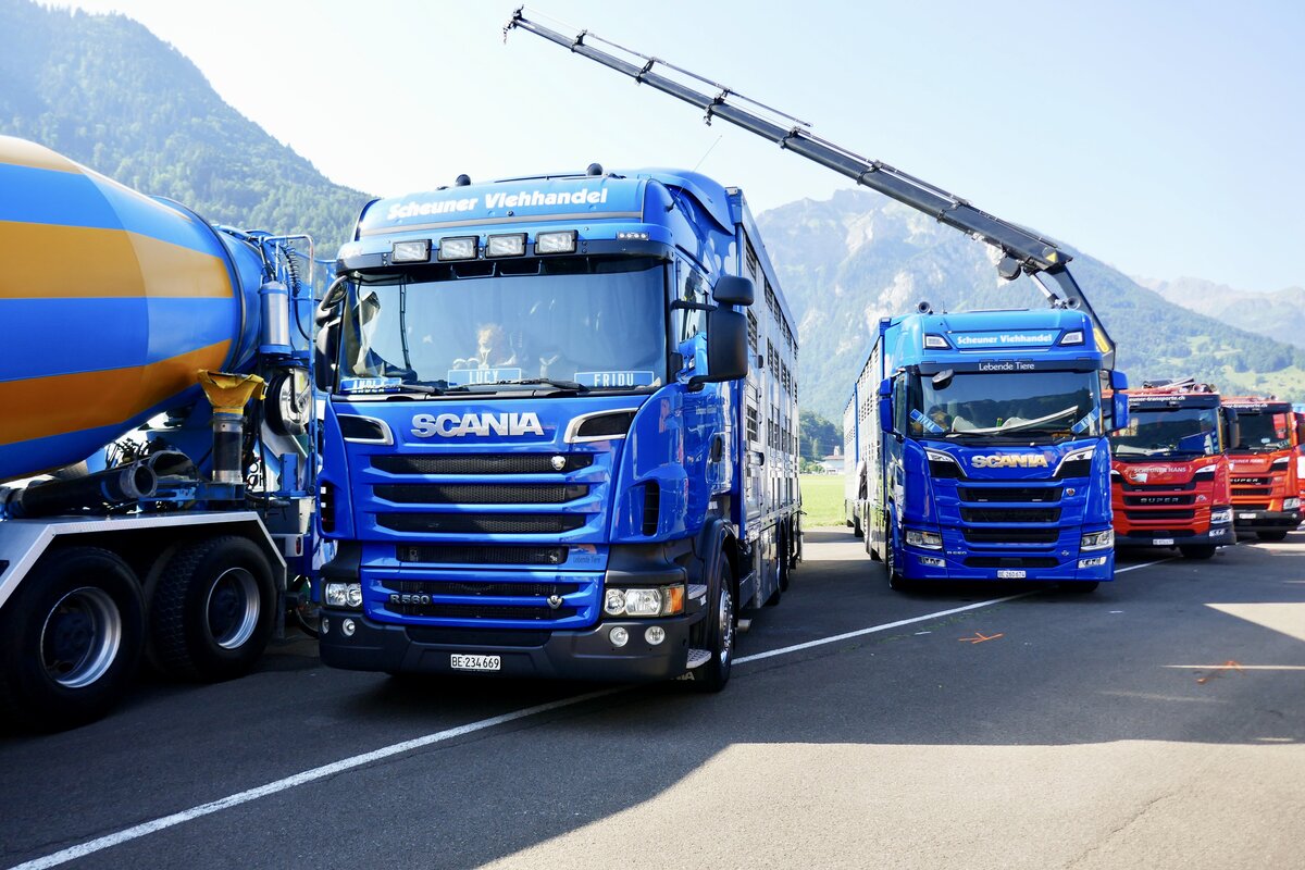 Zwei Scania Viehtransporter von Scheuner Viehhandel am 27.6.26 beim Trucker Festival Interlaken.