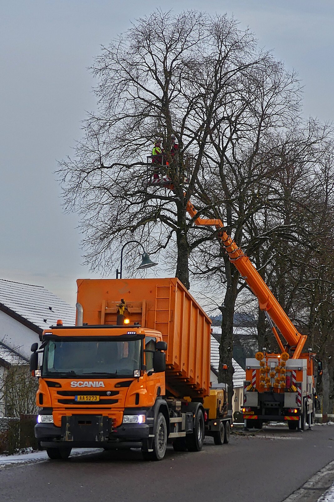 LKW Scania Absetzkipper, der Straßenbau Verwaltung, im Einsatz beim ausdünnen des Geästs von Straßenbäumen. 01.2024