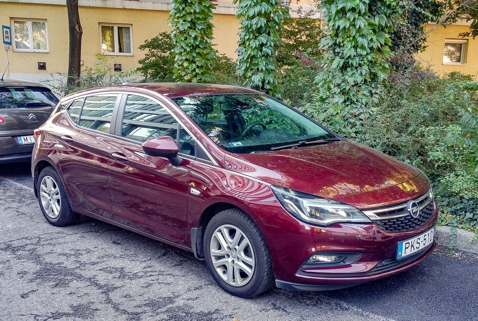 Opel Astra K in der Farbe Very Berry. Foto: Oktober, 2021.