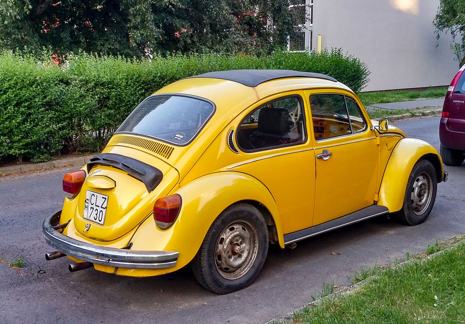 Rückansicht: gelber VW Käfer. Foto: Juni, 2021