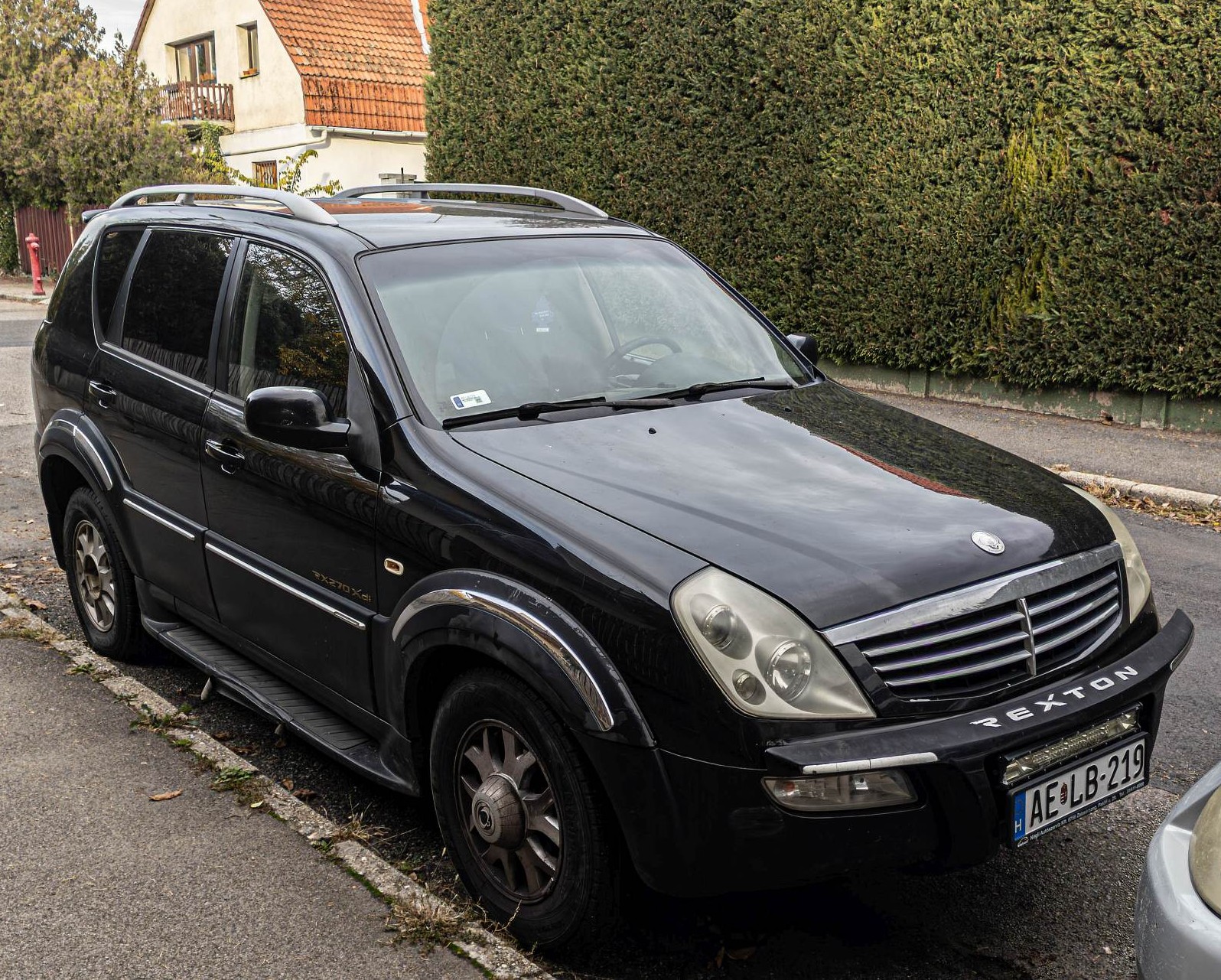 SsangYong Rexton (2001-2006), gesehen in November, 2025.