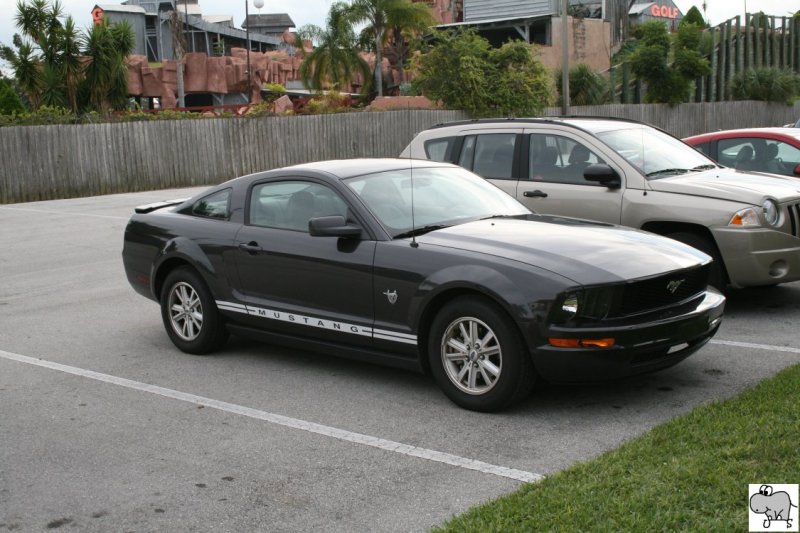 2005er Ford Mustang auf den Parkplatz vor unserem Hotel in Kissimmee bei Orlando in Florida / USA am 1. Oktober 2008.