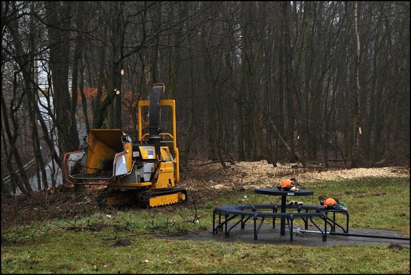 Der Holzhacker mit Raupenketten bei der Gehlzpflegearbeiten an der A45. (02.03.2009)