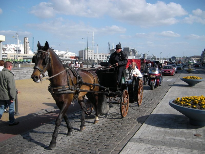 Diese Kutsche habe ich whrend einer Stadtrundfahrt von Oostende (Belgien) photographiert.  19.05.07 