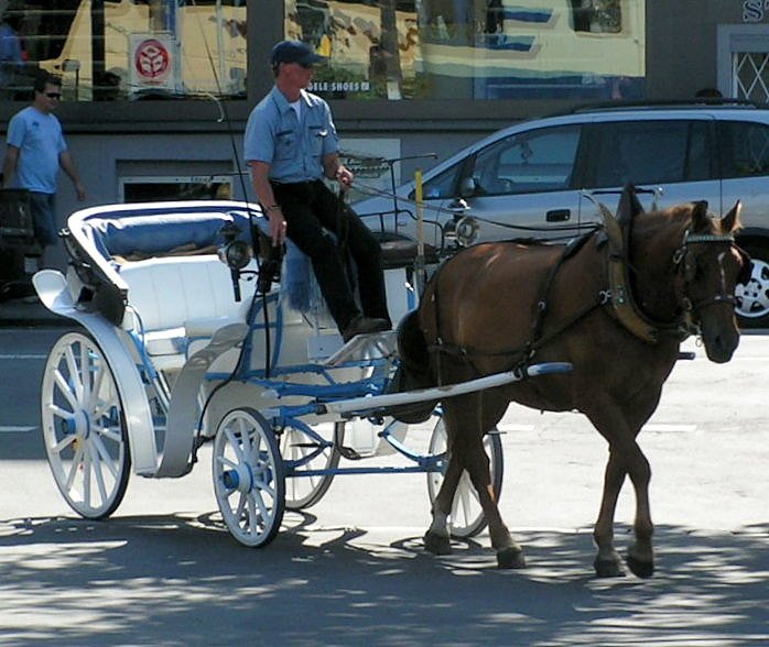 Diese Kutsche kann man in Interlaken zu Stadtrundfahrten benutzen. 06.08.07