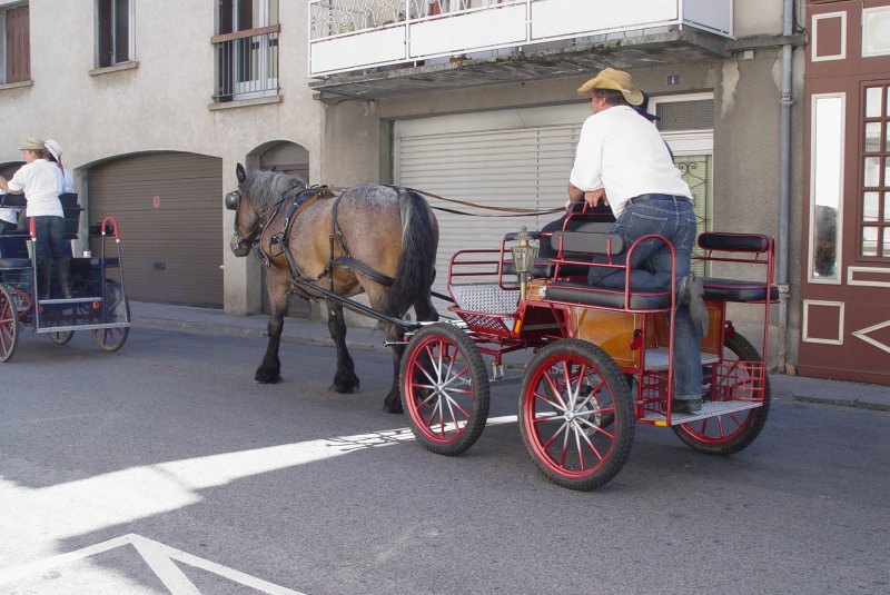 Diese Kutsche war am 26.07.2009 in St. Cr im Departement Lot in Frankreich unterwegs.