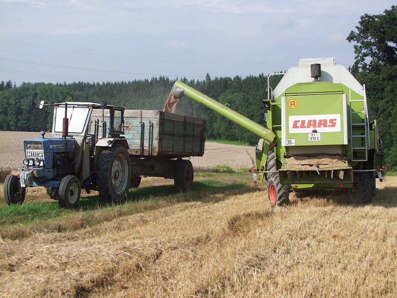 FORD5000 steht auf einem Feld Nhe Neuhofen/Innkr.mit einem Einachshnger bereit, welcher von einem CLAAS_Dominator-88S mit Weizen befllt wird;090809