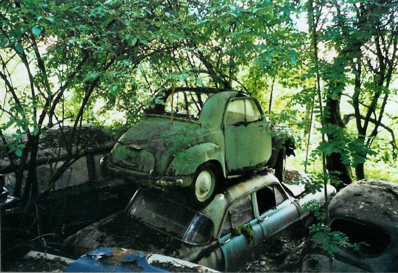 Historischer Autofriedhof Grbetal, Kaufdorf: Dieser Fiat Topolino hat eigentlich eine gute Uebersicht ber die anderen Autos! Am 27. Juli 2008