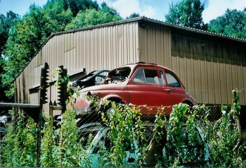 Historischer Autofriedhof Grbetal, Kaufdorf: Ein roter Fiat 500 in beinahe luftiger Hhe am 27. Juli 2008