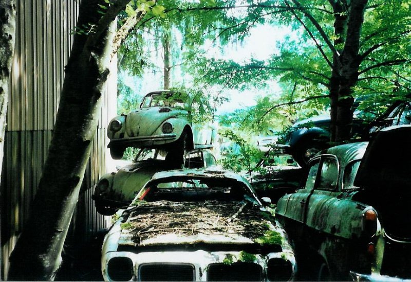 Historischer Autofriedhof Grbetal, Kaufdorf: Hier sind gleich zwei VW-Kfer aufeinander; rechts scheint es, dass ein dritter zuschaut! Am 27. Juli 2008