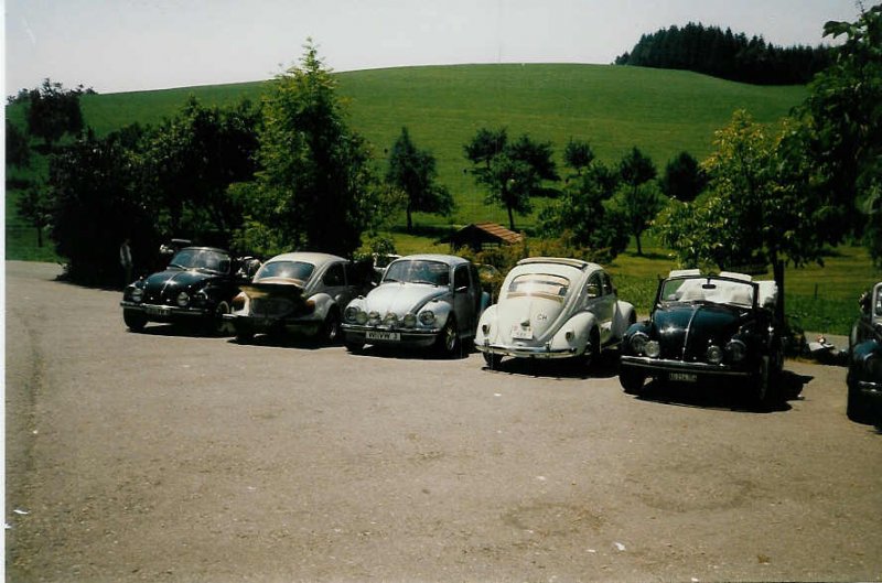 Mehrere VW-Kfer an einem Kfer-Treffen in der Innerschweiz