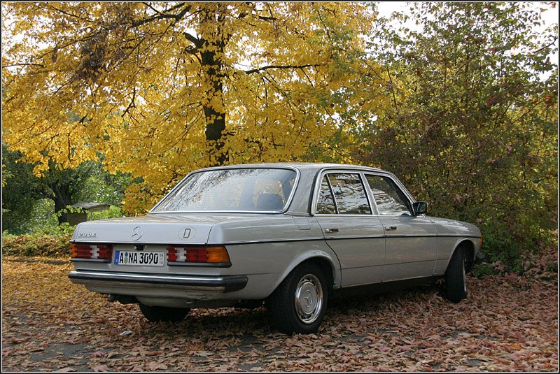 Mercedes-Benz W123. Bauzeit: Januar 1976 bis Januar 1986. Diese Baureihe ersetzte die  Strich 8  Modelle. Im Design hnelt das Fahrzeug der ersten, 1972 vorgestellten S-Klasse (W116). 12.10.2008 (Matthias)