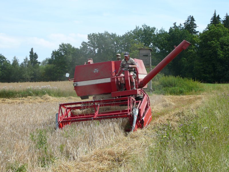 MF 186 unterwegs auf einem Getreidefeld in der Gemarkung von Hnfeld-Rckers am 29.07.09