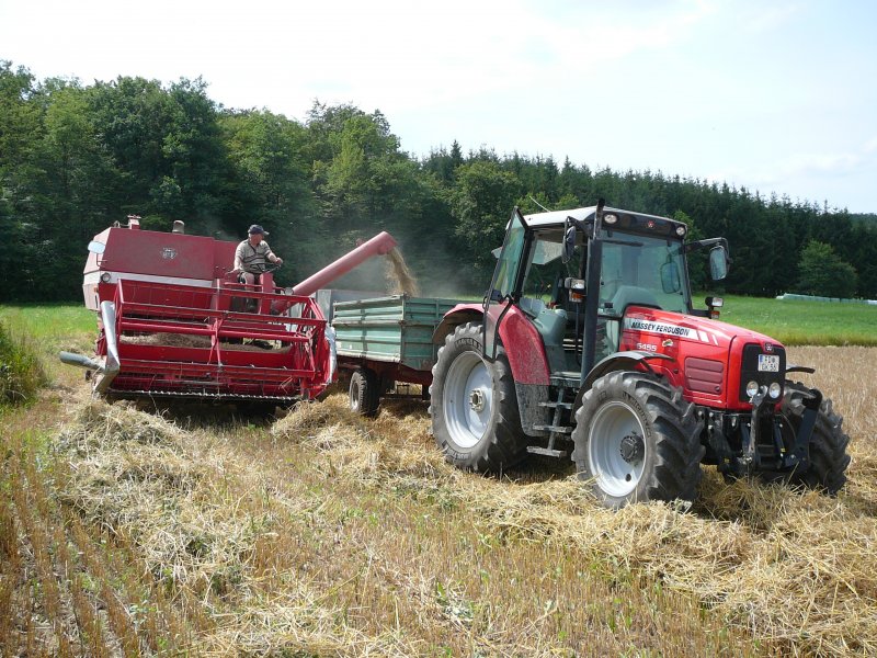 MF 5455 und MF 186 whrend der Getreideernte auf einem Feld in 36088 Hnfeld-Rckers am 29.07.09