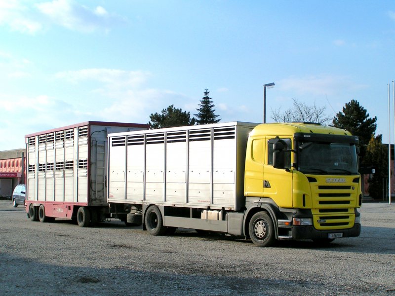 Scania-R420 fr Groviehtransport ;090321