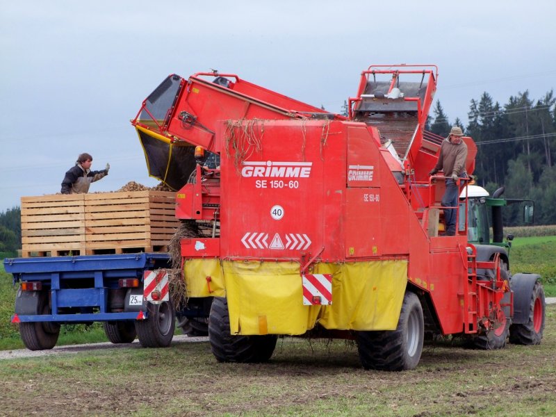 STOP Kartoffelkisten voll; Bunkerroder GRIMME SE150-60 bei der Entladung; 080920