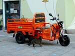 Dreirad-Elektro-Lastenrad  Cargo 500  wird von einer Katze inspiziert;  ein paar zusätzliche Daten:   Reichweite ca.30km (bei vollem Akku)  Gewicht ohne Batterie ~135kg  Zuladung max.250kg 