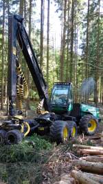Timberjack hat den Kampf gegen den Borkenkäfer aufgenommen, Mai 2014