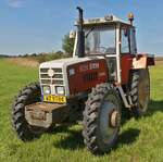 Steyr 8120 Turbo, aufgenommen beim Gromperefest in Binsfeld.