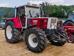 Steyr 8165, BJ 1989, aufgenommen bei der Kirmes mit Oldtimertreffen in Warken. 19.07.2026