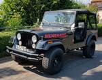 =Jeep Renegade steht im Juni 2023 in Petersberg-Marbach