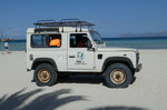 Rover unterwegs am Strand von Alcudia im Juni 2016
