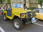 Toyota Land Cruiser bei der 29.