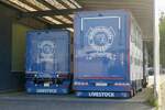 Heckansicht zweier Scania Vieh-H�ngerz�ge von Br�hlmann am 1.6.26 in Malters.
