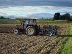 Fiat 65-94, 65PS Allradschlepper beim Pflügen mit 3-Schar-Wendepflug,  Okt.2010