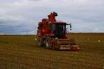 Maschinenring Wetterau Holmer Terra DOS T4 im Oktober beim Rüben Roden bei Florstadt