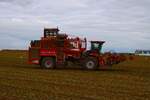 Maschinenring Wetterau Holmer Terra DOS T4 im Oktober beim Rüben Roden bei Florstadt