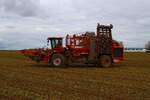 Maschinenring Wetterau Holmer Terra DOS T4 im Oktober beim Rüben Roden bei Florstadt