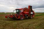 Maschinenring Wetterau Holmer Terra DOS T3 im Oktober beim Rüben Roden bei Florstadt