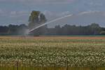 Die Beregnungsspritze wurde im Kartoffelacker abgesetzt und in beginnt mit ihrer Arbeit. 07.2025