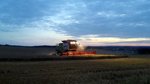 Claas LEXION 770 Mähdrescher in Zeulenroda. Foto 9.7.16
