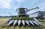 =Claas Lexion 760 mit Schneidwerk f�r die Maisernte, ausgestellt beim Firmengeburtstag:  66 Jahre Lohnunternehmen HERRLICH  aus Langenbieber, 06-2026