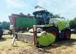 =Claas Jaguar 950 steht bereit f�r die Ernte von Ganzpflanzensilage, gesehen beim Firmengeburtstag:  66 Jahre Lohnunternehmen HERRLICH  aus Langenbieber, 06-2026