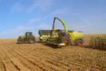 LU Schmidt Ronneburg mit dem nagelneuen Claas Jaguar 1200 und Orbis 10500 am 23.08.23 bei der Maisernte 2026 zwischen Langenselbold und Ronneburg 