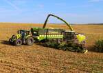 LU Schmidt Ronneburg mit dem nagelneuen Claas Jaguar 1200 und Orbis 10500 am 23.08.23 bei der Maisernte 2026 zwischen Langenselbold und Ronneburg 