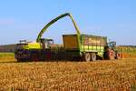 LU Schmidt Ronneburg mit dem nagelneuen Claas Jaguar 1200 und Orbis 10500 am 23.08.23 bei der Maisernte 2026 zwischen Langenselbold und Ronneburg 