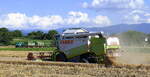 Claas Lexion 440, bei der Getreideernte in der Rheinebene im Breisgau, Juli 2025