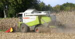 Claas Lexion 520, M�hdrescher bei der Maisernte in der Rheinebene im Breisgau
