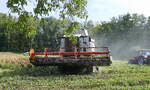 Claas Lexion 550, M�hdrescher bei der Ernte von Hirse in der Rheinebene im Breisgau, Sept.2026