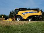 M�hdrescher NEW-HOLLAND CX6080, beim Abdrusch eines Rapsfeldes; 260721