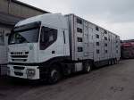 IVECO-STRALIS450 aus Weißrussland steht mit dem beladenen Großviehtransportauflieger vor den Stallungen des FIH zur Abfahrt bereit;100411