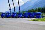 Mehrere MAN und ein Scania H�ngerzug von Rubin & Morger am 27.6.26 beim Trucker Festival Interlaken.