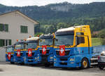 Am schweizerischen Nationalfeiertag beflaggte MAN-Lastwagenflotte am 1. August 2020 in Balsthal.
Fotostandort Trottoir, Bildausschnitt Fotoshop.
Foto: Walter Ruetsch
