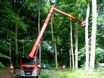 MAN mit dem Aufbau einer 48mtr.Arbeitsb�hne, anl�sslich von Baumpflegearbeiten; 260617